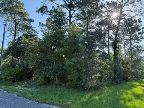 Hickory Avenue, Orange City, FL 32763