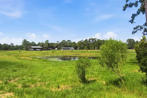 32416 Pine Rd, Eustis, FL 32736 photo 43