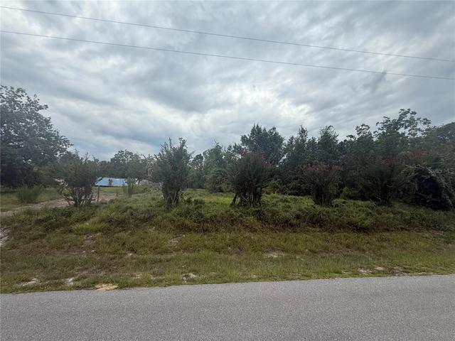 31514 Division St, Deland, FL 32720