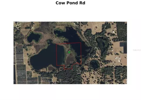 Cow Pond Road, Seville, FL 32190