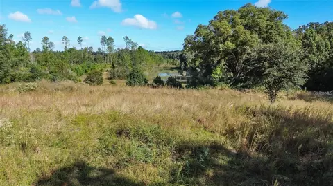 Tree Frog Lot 6 Lane, Eustis, FL 32736 photo 17