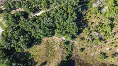 Tree Frog Lot 6 Lane, Eustis, FL 32736 photo 10