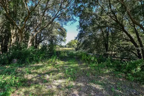 Tree Frog Lot 6 Lane, Eustis, FL 32736 photo 13
