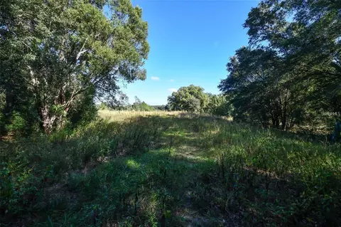 Tree Frog Lot 6 Lane, Eustis, FL 32736 photo 14