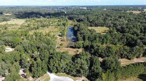 Tree Frog Lot 6 Lane, Eustis, FL 32736 photo 15