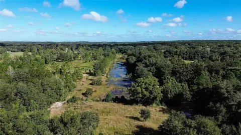 Tree Frog Lot 6 Lane, Eustis, FL 32736 photo 4