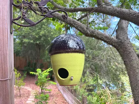 Other - 1625 Abrams Rd, Eustis, FL 32726 photo 7 of 11