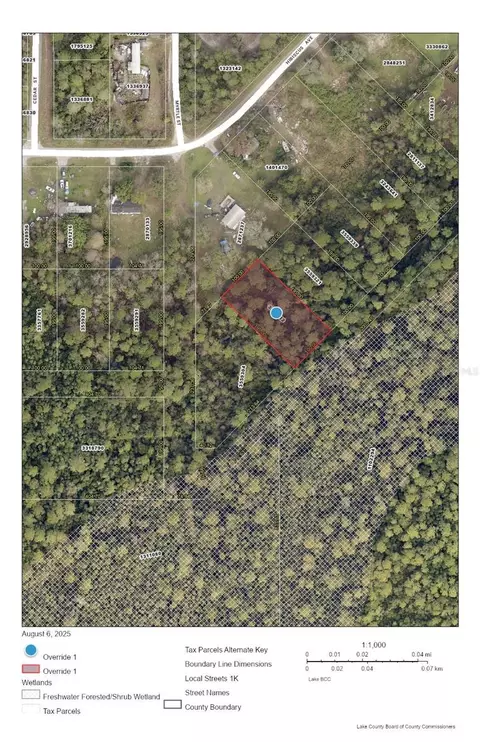 Raccoon Street, Paisley, FL 32767