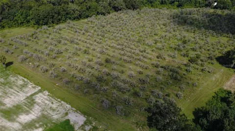 Holly Hammock Road, De Leon Springs, FL 32130