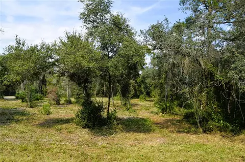 625 Lake Butler Ave, Osteen, FL 32764