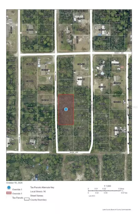 Virginia Street, Paisley, FL 32767