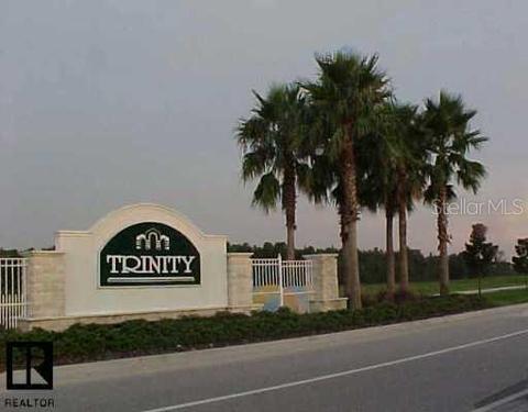 1907 Cardamon Dr, Trinity, FL 34655 photo 1
