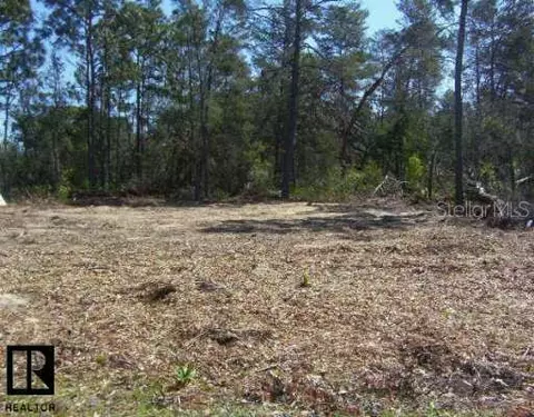 5250 Pacific Ave, Spring Hill, FL 34611 photo 1