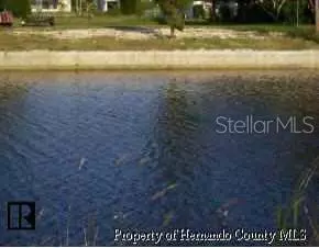 4281 Bellaire Dr, Hernando Beach, FL 34607 photo 1