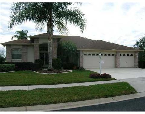 11036 Wedgemere Dr, Trinity, FL 34655 photo 1