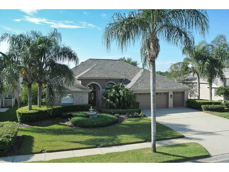 9009 Callaway Dr, Trinity, FL 34655 photo 1