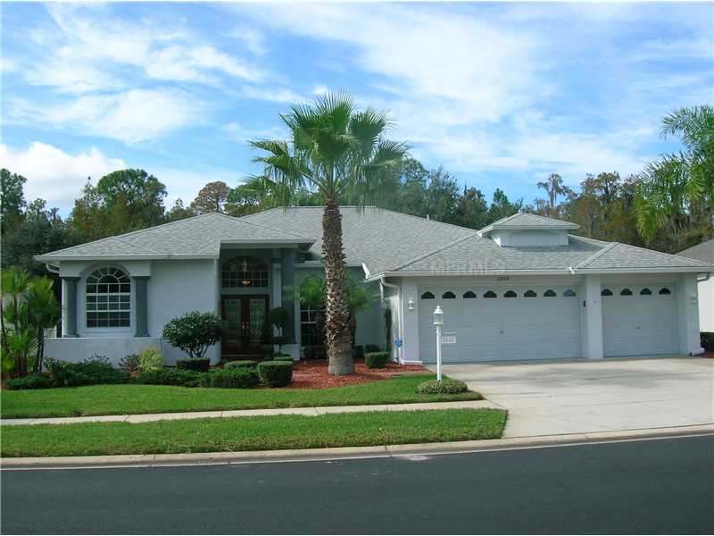 11806 Hadleigh Way, Trinity, FL 34655 photo 1