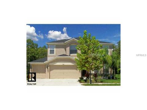 7723 Arelli Dr, Trinity, FL 34655 photo 1