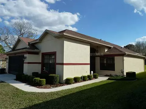 11314 Copley Ct, Spring Hill, FL 34609 photo 1