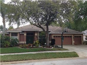 1248 Maravista Dr, Trinity, FL 34655 photo 1