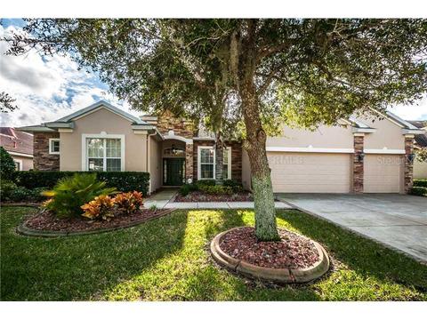 1345 El Pardo Dr, Trinity, FL 34655 photo 1