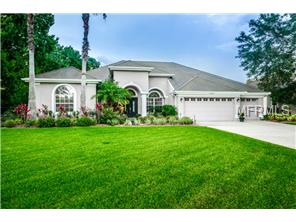 9024 Callaway Dr, Trinity, FL 34655 photo 1