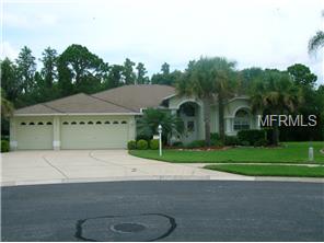 11251 Wedgemere Dr, Trinity, FL 34655 photo 1