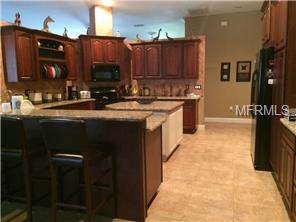 1005 Hagen Dr, Trinity, FL 34655 photo 1