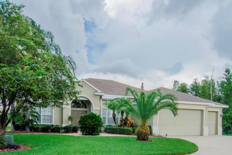 10425 Gooseberry Ct, Trinity, FL 34655 photo 1
