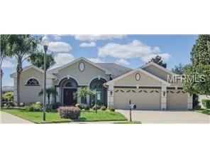 10524 Gooseberry Ct, Trinity, FL 34655 photo 1