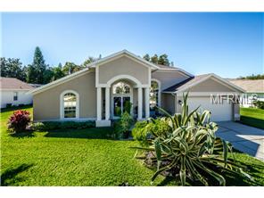 1409 Jutland Dr, Trinity, FL 34655 photo 1