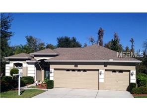 8827 Wavyedge Ct, Trinity, FL 34655 photo 1