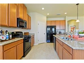 11221 Spring Point Cir, Riverview, FL 33579 photo 1