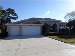 9251 Haynie Ct, Trinity, FL 34655 photo 1