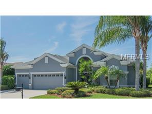10516 Gooseberry Ct, Trinity, FL 34655 photo 1