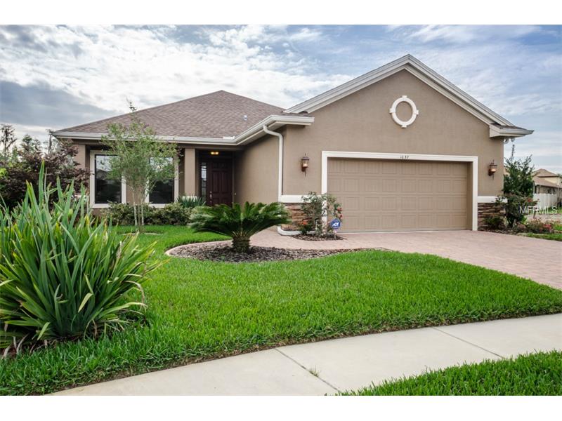 1037 Maza Pl, Trinity, FL 34655 photo 1
