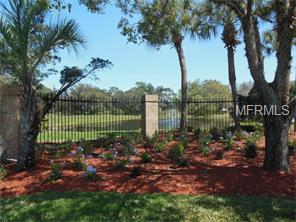 16727 Midsummer Ln, Spring Hill, FL 34610 photo 1