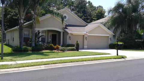 2442 Brinley Dr, Trinity, FL 34655 photo 1