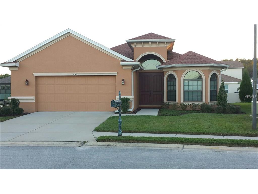 1045 Maza Pl, Trinity, FL 34655 photo 1