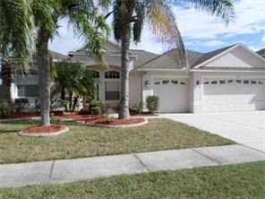 1632 Swamp Rose Ln, Trinity, FL 34655 photo 1