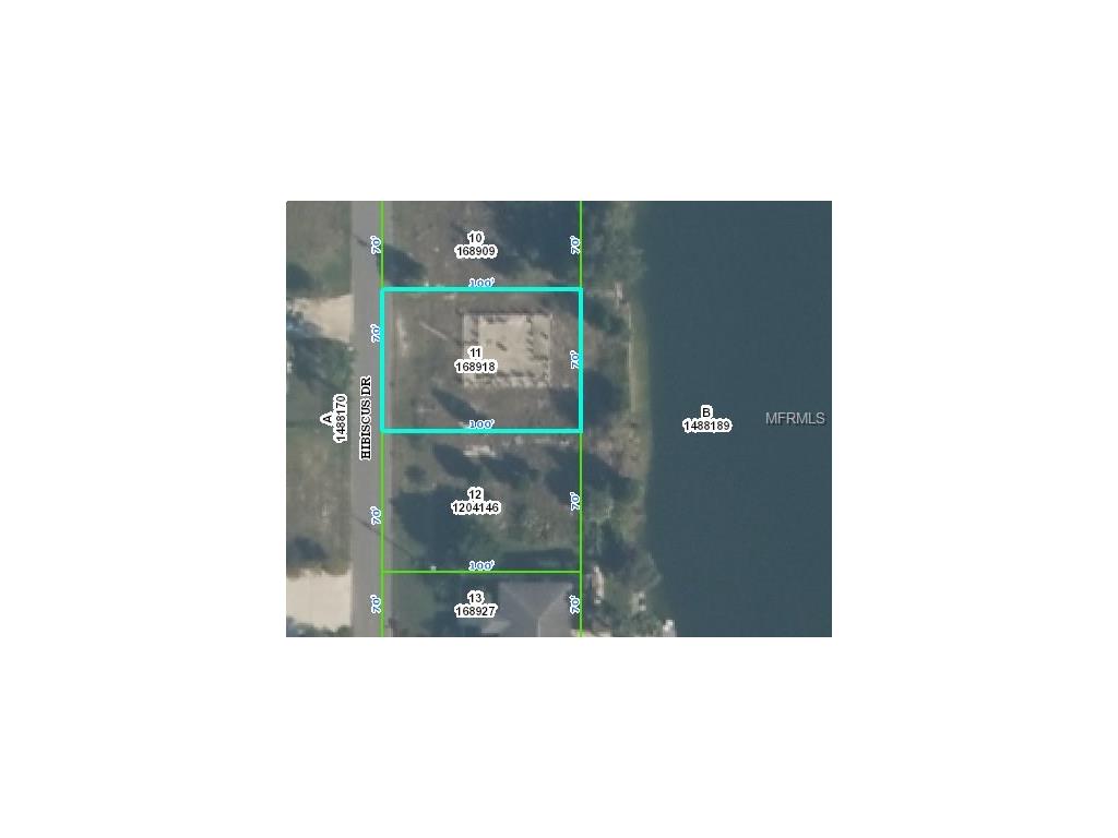 3224 Hibiscus Dr, Hernando Beach, FL 34607 photo 1