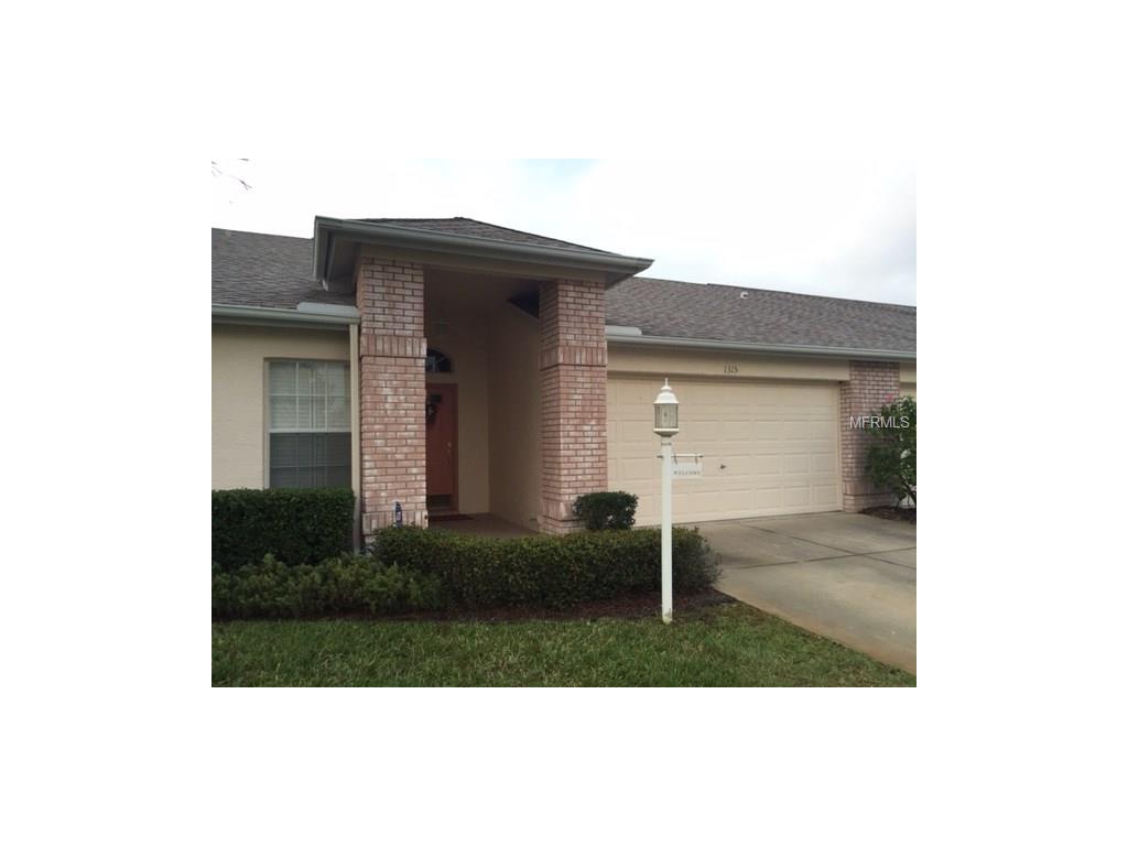 1315 Tollbridge Ct, Trinity, FL 34655 photo 1