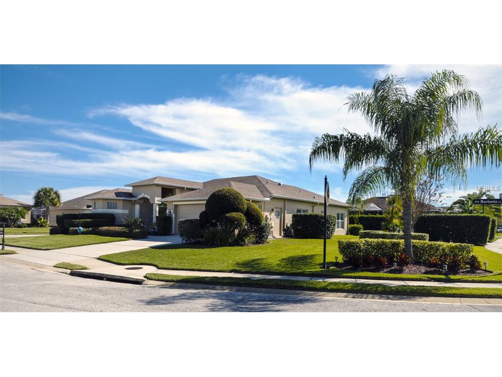 10502 Bartonia Ct, Trinity, FL 34655 photo 1