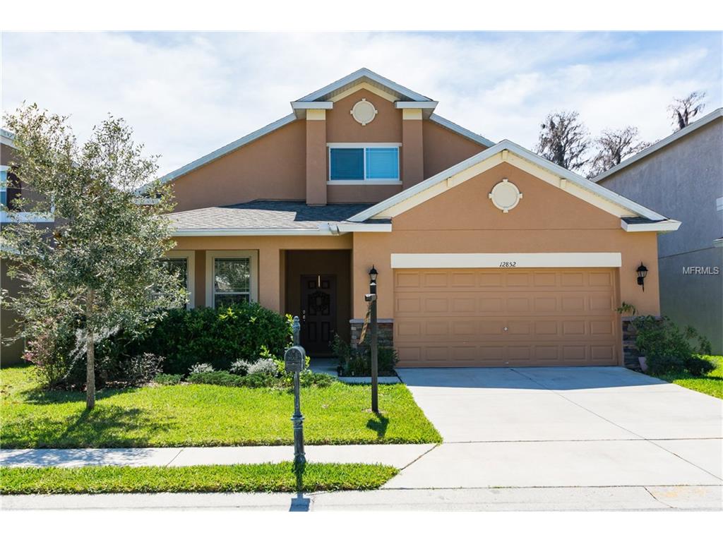 12852 Tikal Way, Trinity, FL 34655 photo 1