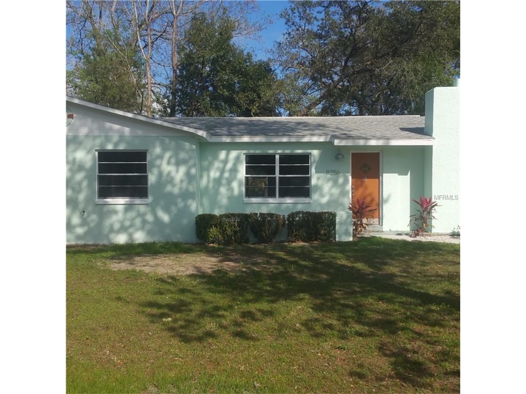 11256 Captain Dr, Spring Hill, FL 34608 photo 1