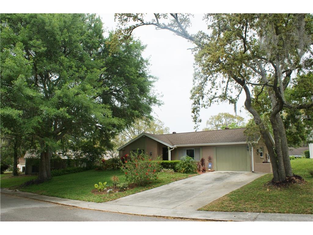 8301 Clover Hill Loop, Hudson, FL 34667 photo 1