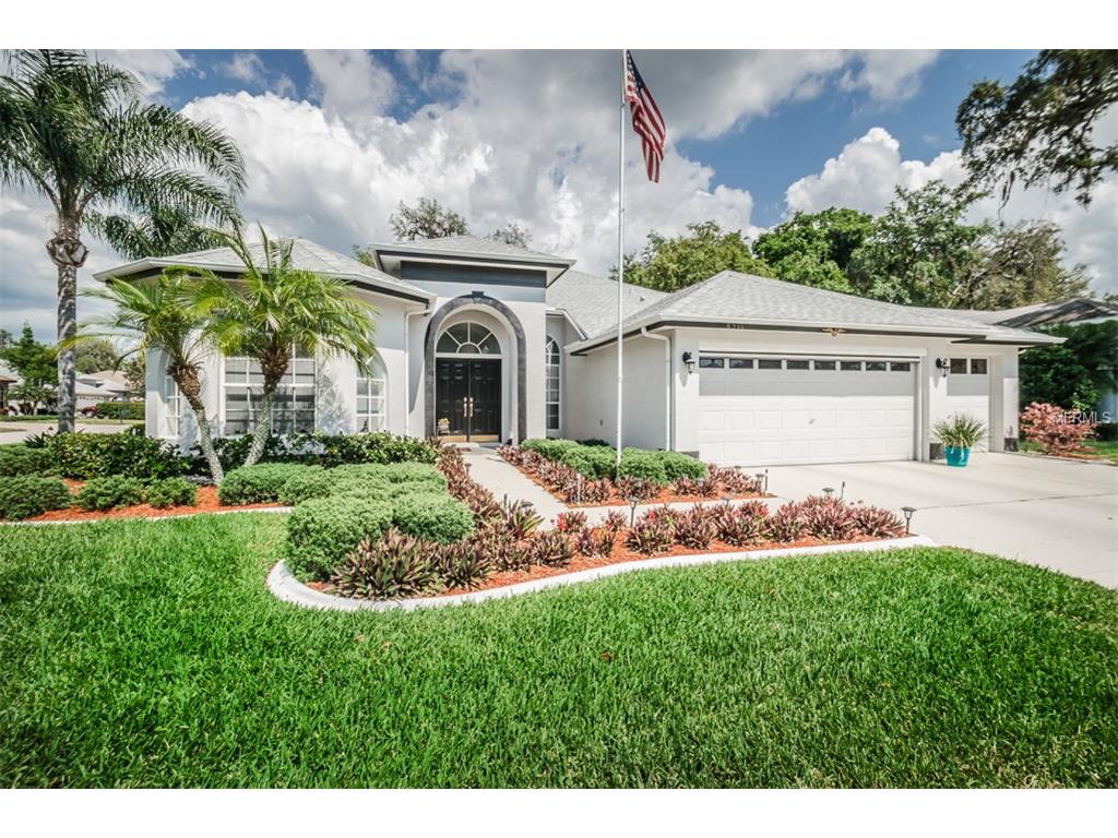 8511 Basuto Dr, Trinity, FL 34655 photo 1