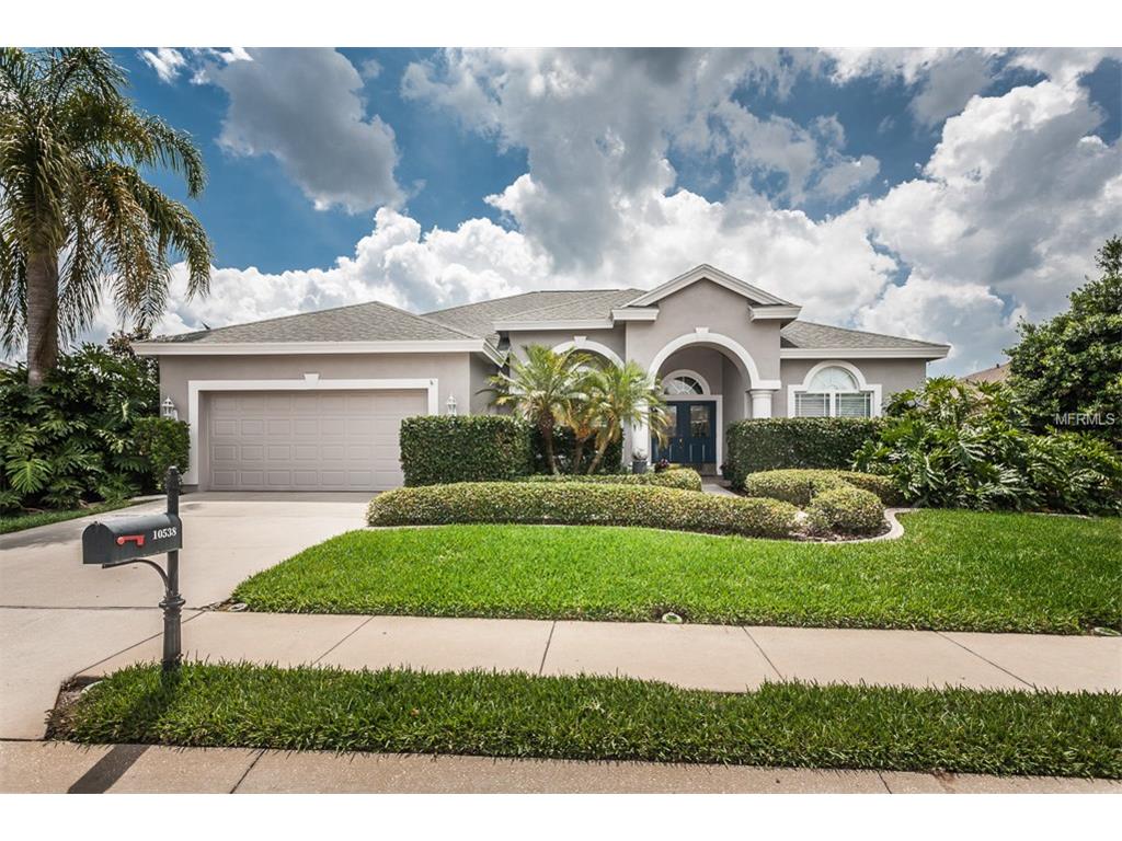 10538 Gooseberry Ct, Trinity, FL 34655 photo 1