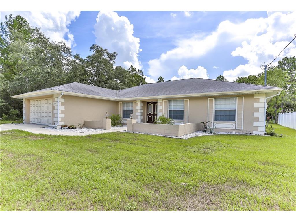 3248 Bluestone Ave, Spring Hill, FL 34609 photo 1