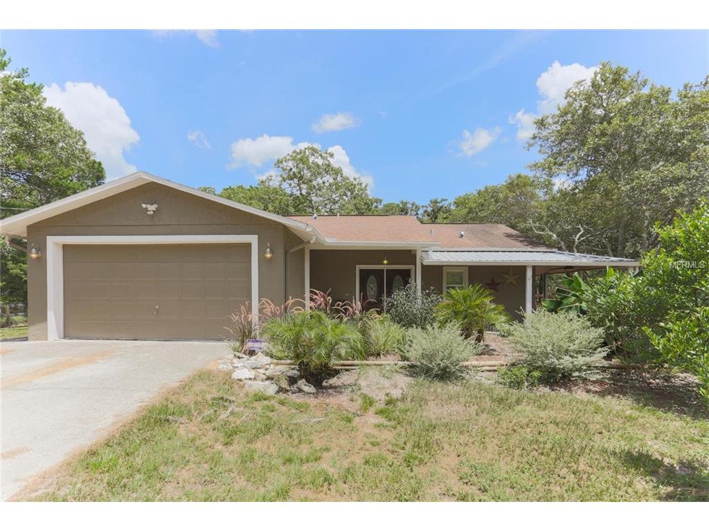 17734 Nelson Rd, Spring Hill, FL 34610 photo 1